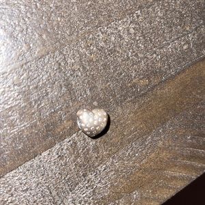 pandora heart charm